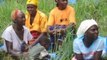 Zambia, Kaloma, Simwatachela: Bednet distribution