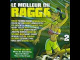 Jungle Style - party party party (best of Ragga)