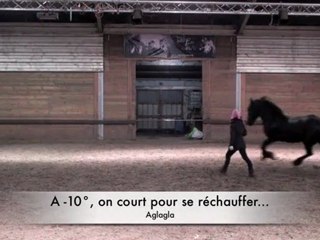 Eben & ses galipettes - Hiver 2012