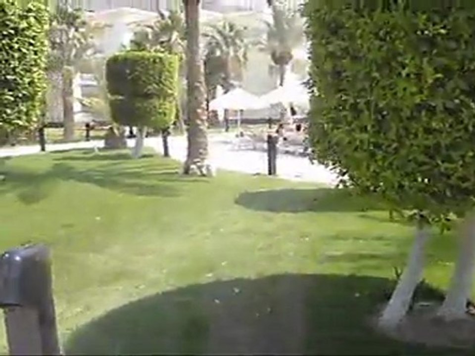 cedric A.K.A L`Nice & Jeff in Hurghada ,flashing the cam part1.