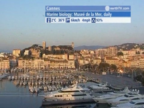 Venice - Italy, Las Vegas - USA, Yas Island - UAE - Abu Dhabi, Stuttgart - Germany, Cannes - France, Vienna - Austria, Macau SAR - China