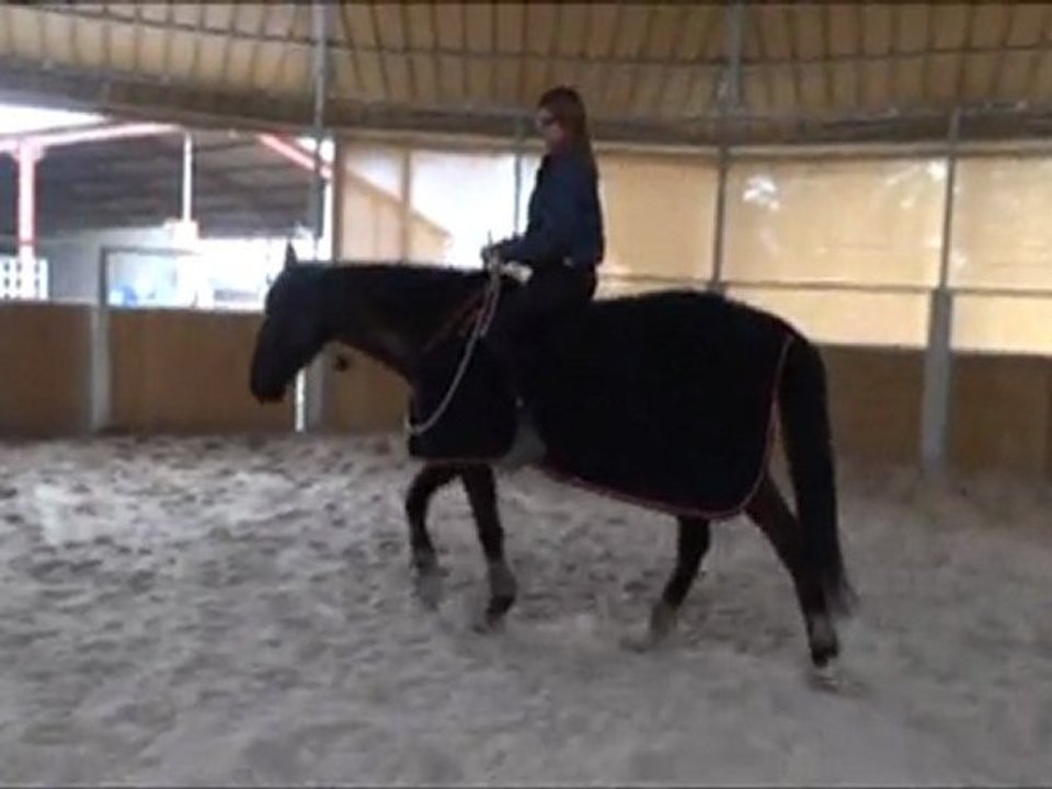 olten travail au pas 19fev2012