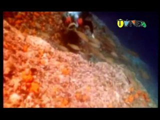 PD entrevista a Leila Tekaia, directora de turismo de Túnez en España