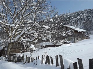 GELİNÖZÜ KÖYÜ-ALIÇ MAHALLESİ...19.02.2012