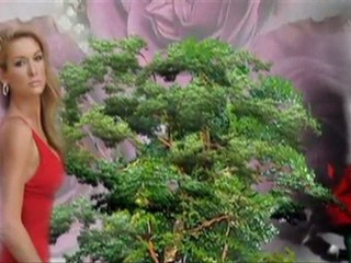 İLKAY AKKAYA-SENİ SEVİYORUM-GİZEM CE