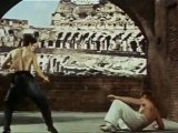 Bruce Lee VS Chuck Norris