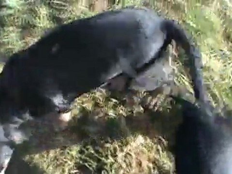 petit coup de coeur...19.02.12