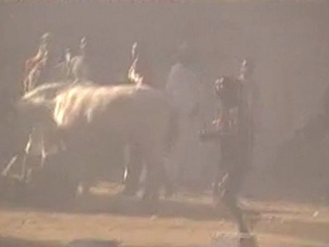 Sénégal: Les images (VIDEOS & PHOTOS) de la révolte tous azimuts des jeunes