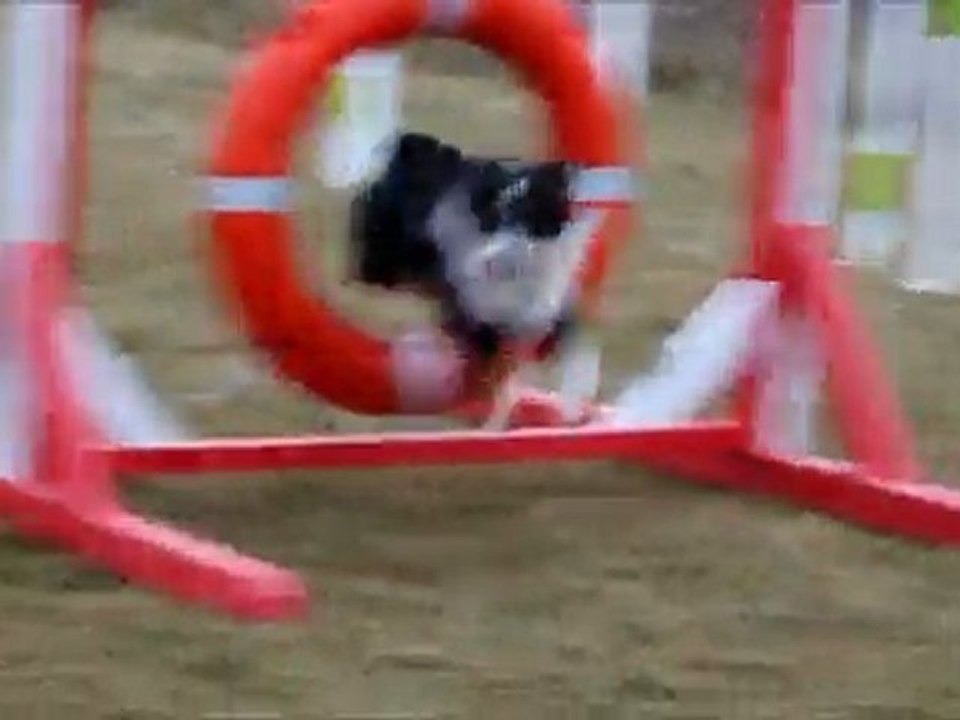 Shadow agility