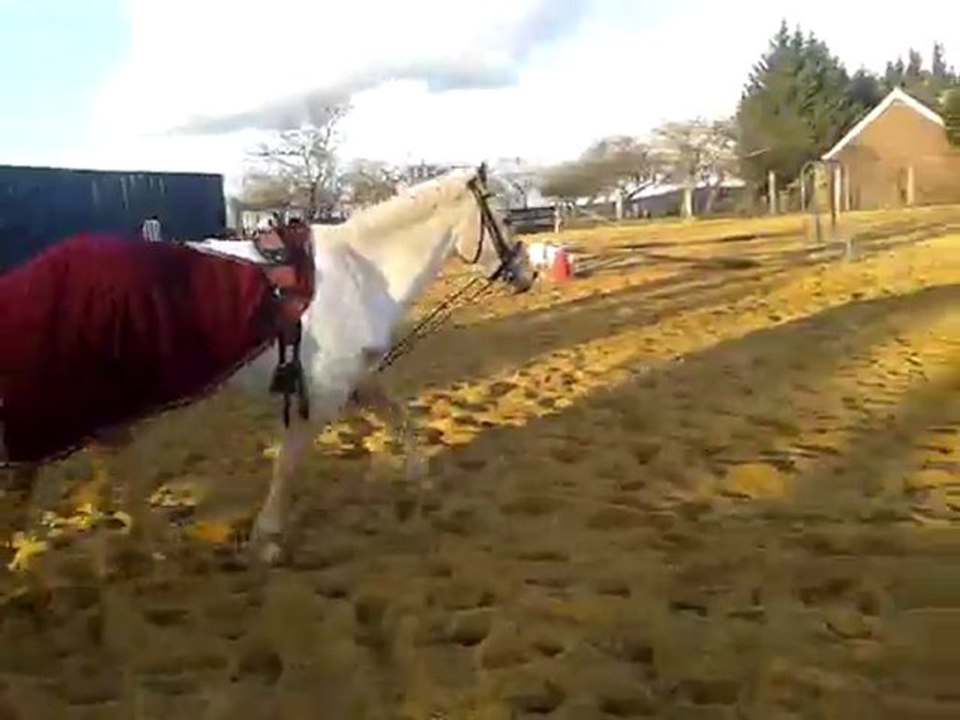video-2012-02-19-17-26-23
