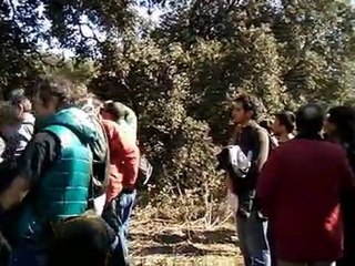 Acto "Abraza los árboles para salvar el encinar" (Acto 15M)