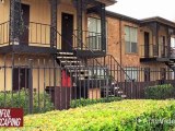 Hunters Chase Apartments in Houston, TX - ForRent.com