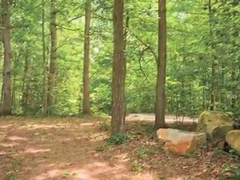 Springwoods at Lake Ridge Apartments in Woodbridge, VA ...