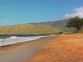 Aloha From Maui - "Take a Walk Along Sugar Beach"