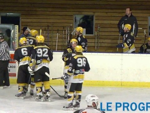 Les hockeyeurs roannais en play-off