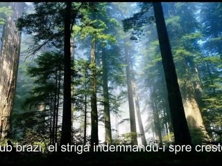 Mistretul cu colti de argint - YouTube