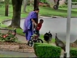 Attack Of The Killer Turkeys