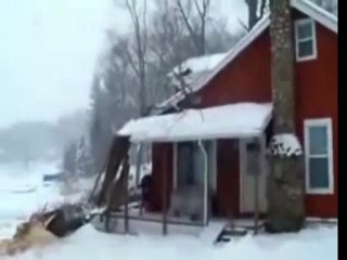 Tree Removal Gone Wrong