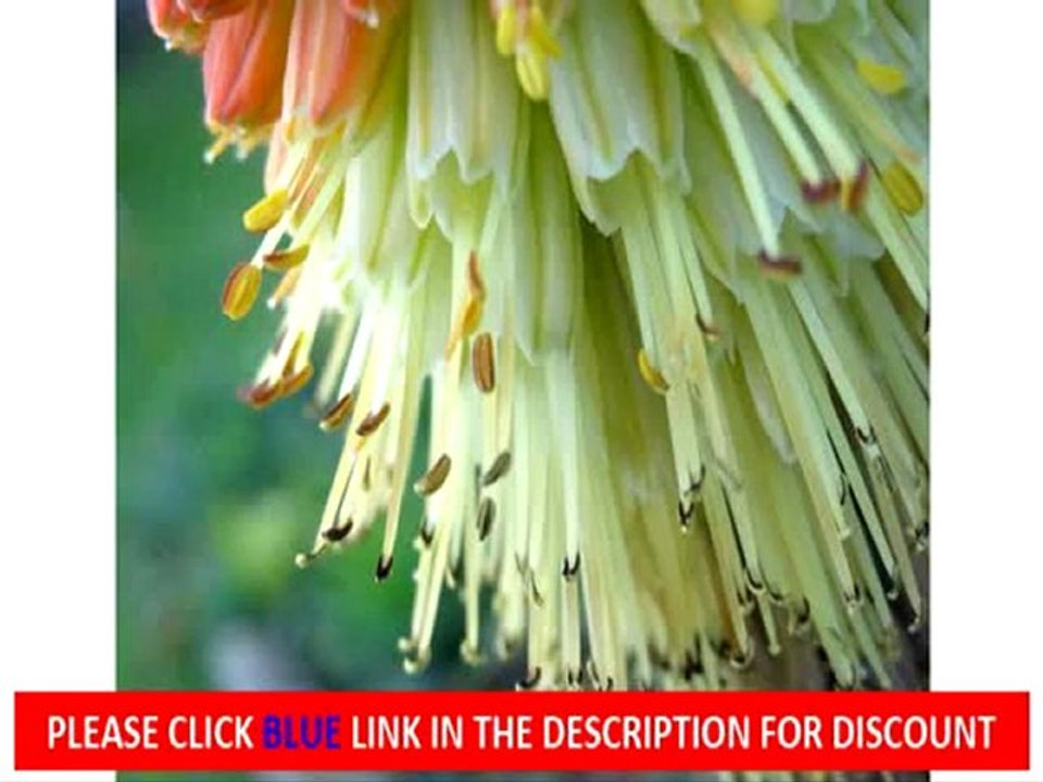 Sony Cyber-shot DSC-HX9V 16.2 MP Exmor R CMOS Sale | Sony Cyber-shot DSC-HX9V 16.2 MP