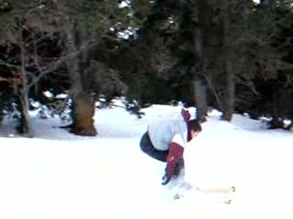 saut ski
