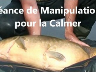 Enorme Carpe Miroir n°1 (Film)