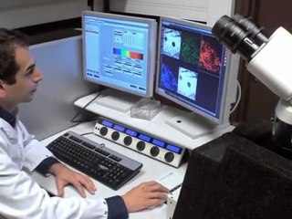 Institut Pasteur - Philippe Bousso