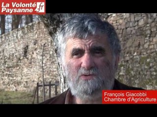 Foncier en Aveyron : associer l'agriculture au développement local