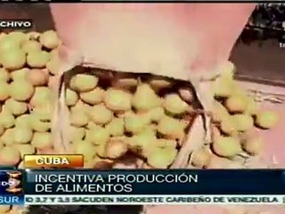 Скачать видео: Cuba busca sustiuir importaciones de alimentos