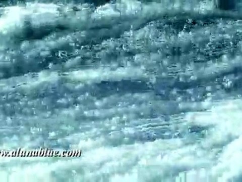 Free Stock Footage - Free Video Backgrounds - Free Stock Video