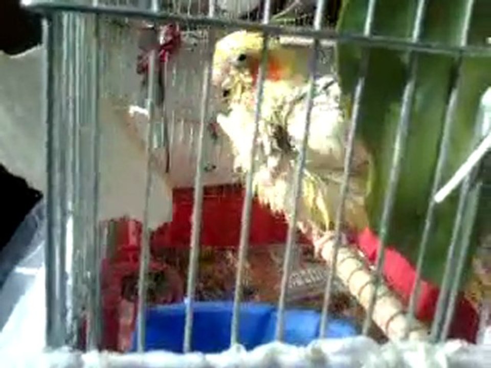 Video0084