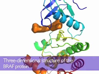 CRUK | Research and trials | High Impact Science - BRAF
