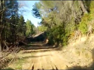 Κοπή πίτας 2012 TeflonClub.gr στο Καταφύγιο Δίρφης