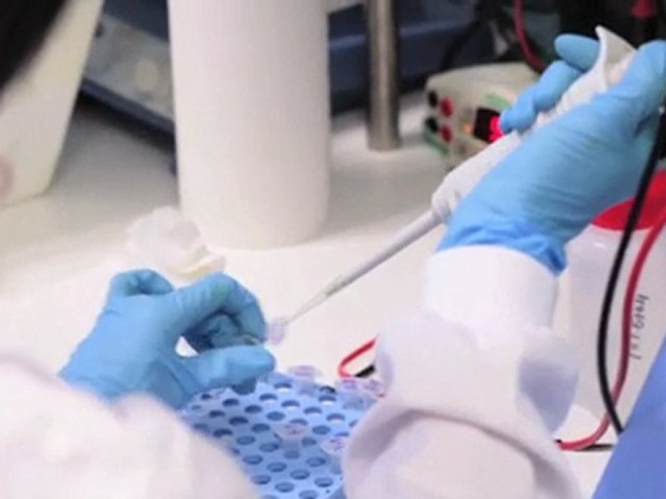 CRUK | Research centres | Edinburgh: stopping cancer spread in its tracks