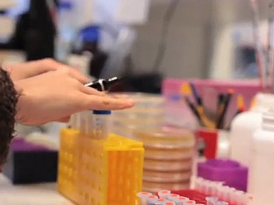 CRUK | Research centres | Cambridge: understanding the nuts and bolts of cancer