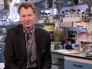 CRUK | Research centres | Southampton: immunotherapy research