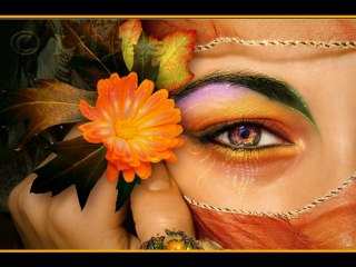 ALAIN BARRIERE  -  MON ILE DE SABA