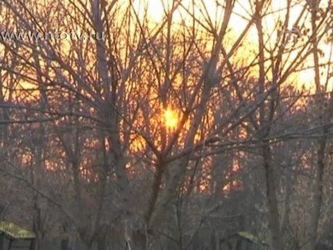 Иран под защитой женщин-ниндзя?