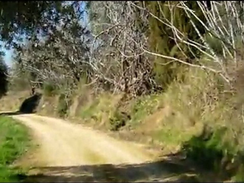 Κοπή πίτας 2012 TeflonClub.gr στο Καταφύγιο Δίρφης