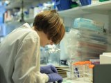 CRUK | Research centres | Sheffield Cancer Research Centre