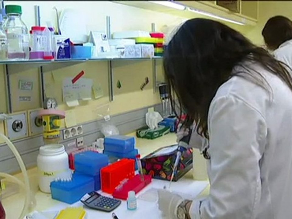 TV3 - Telenotícies - Avenç en els tumors cerebrals més agressius