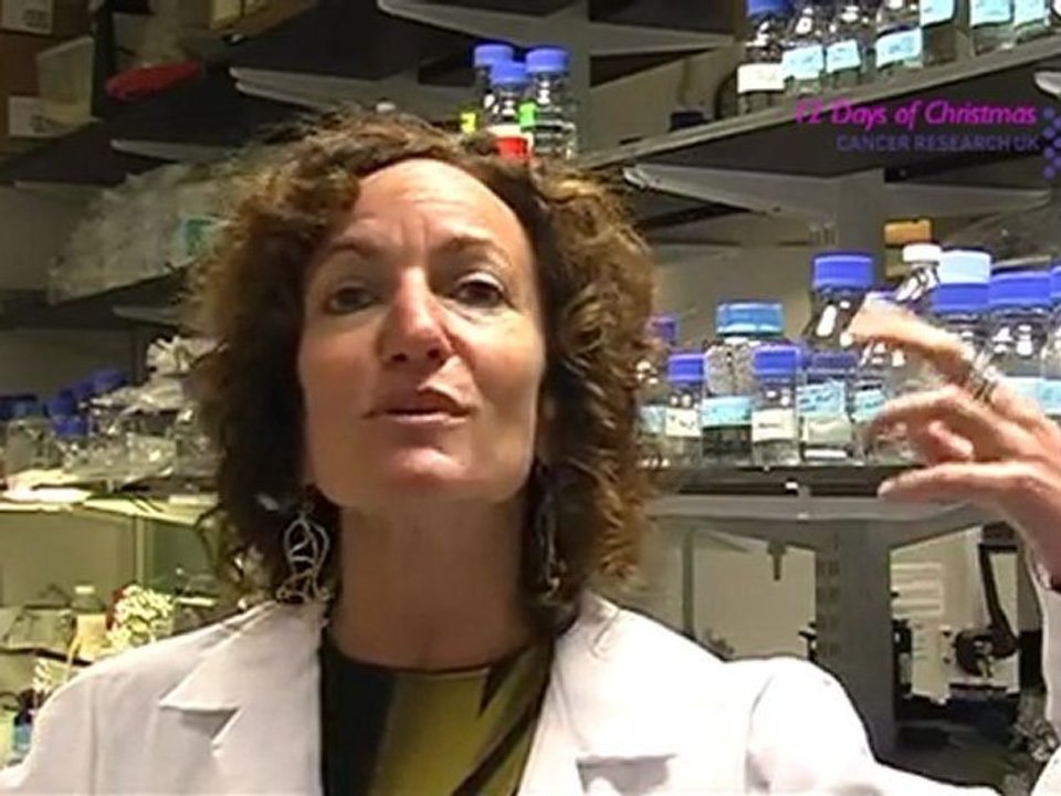 CRUK | 12 Days of Christmas | Dr Julie Cooper