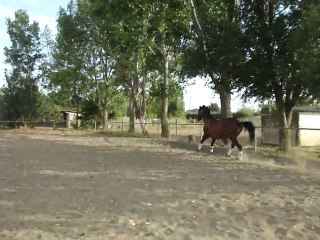 Infante s'éclate Aout 2011