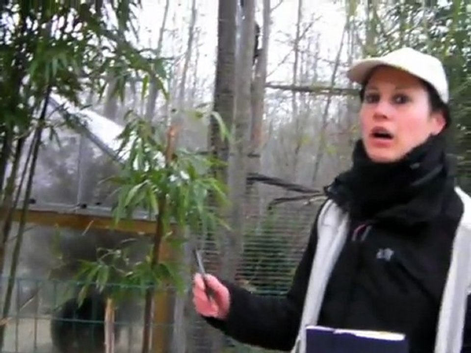 Le Parc des félins en hiver