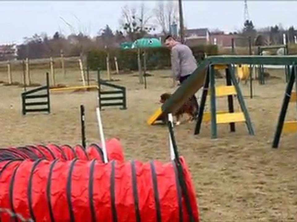 Otahko agility