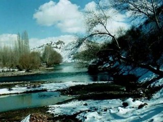 VOLKAN GEVİN/ SIRDAŞ HÜCRELER.