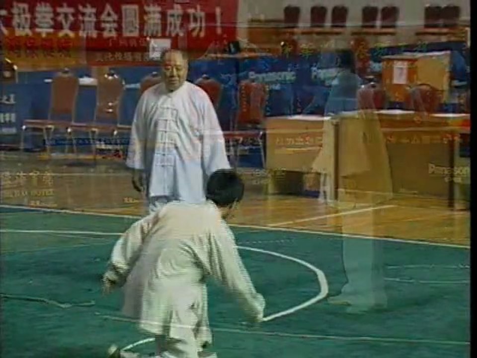 Taizi-Tuishou