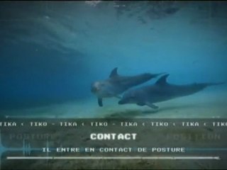 Vacarme en haute mer - Grandeurs nature