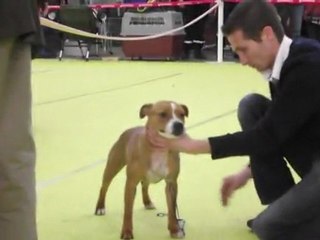 expo bourg en bresse