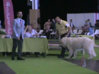 Ch. Francia - Parigi luglio 2011