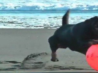 AMY og DD með belg 200212